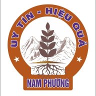 CTy TNHH TVNN Nam Phương