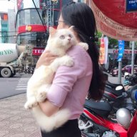 Lương Vân