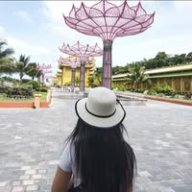 Linh Linh