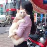 Lương Vân