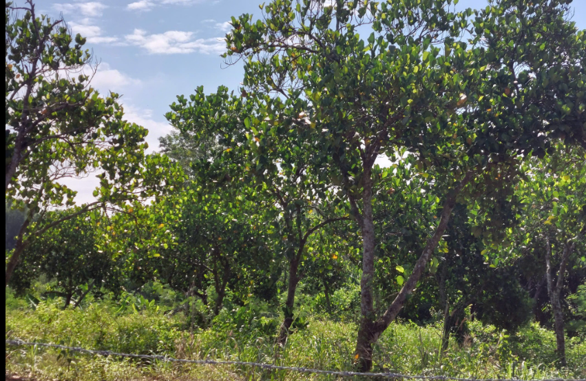 1761296303187.png 1761296303187.png