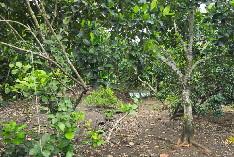 1761296321412.png 1761296321412.png