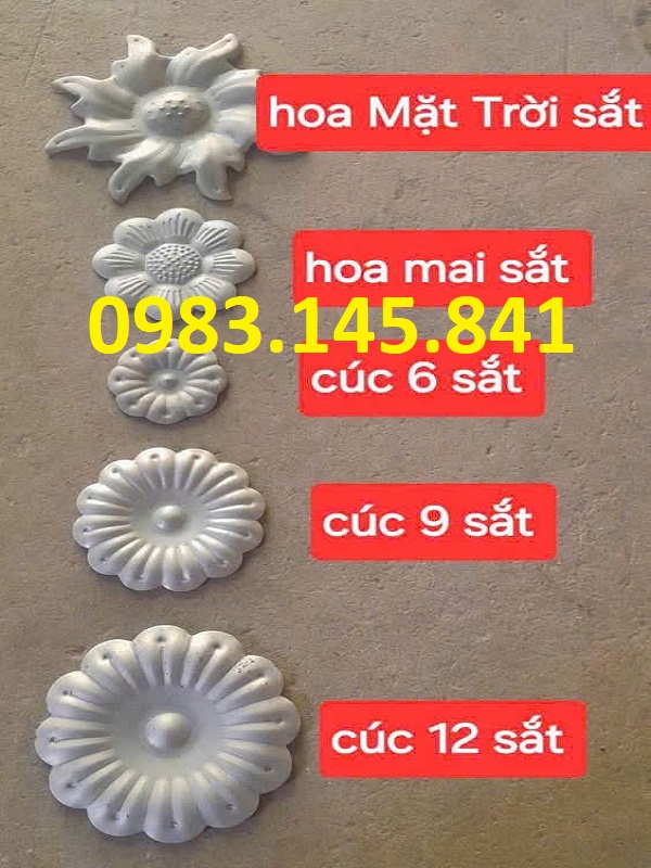 hoa-cuc-3-phan-6-phan-9-phan-12-phan.jpg