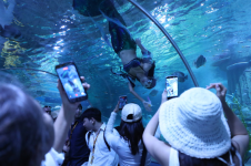 1782371795667.png