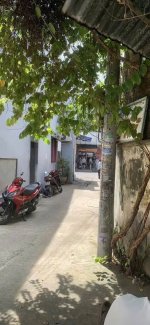 IMG_1941.jpeg