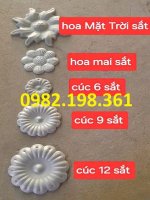 hoa-cuc-3-phan-6-phan-9-phan.jpg