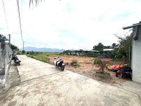 IMG_9842.jpeg