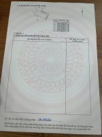 IMG_9750.jpeg
