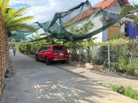 IMG_2109.jpeg