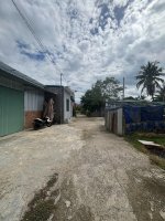 IMG_2126.jpeg