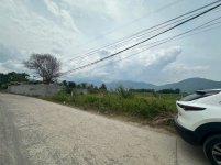 IMG_2141.jpeg