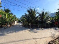 IMG_2267.jpeg
