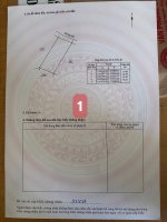 IMG_2284.jpeg