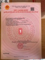 IMG_2281.jpeg