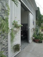 cong.jpg