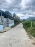 IMG_2401.jpeg