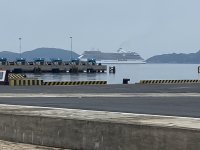 IMG_4272.jpeg