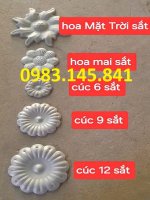 hoa-cuc-3-phan-6-phan-9-phan-12-phan.jpg