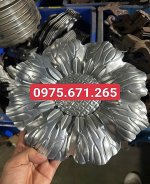 1787370674506_691094123685225518_4519913627717745920_873a99fefd41d1ac1ee3ff1ad9297e5e.jpg
