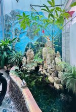 IMG_2717.jpeg