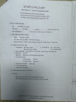 IMG_2127.jpeg
