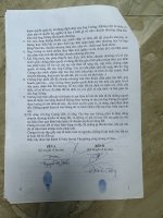 IMG_2125.jpeg