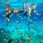 tour-mun-tam-mail-1.webp