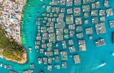 lang-chai-letsflytreavel-e1753088129733.webp