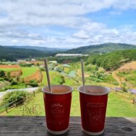 Trần Hướng Dương