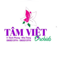 Tâm Việt Orchids