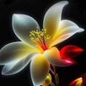 Nguyễn Thị Huyền Diệu